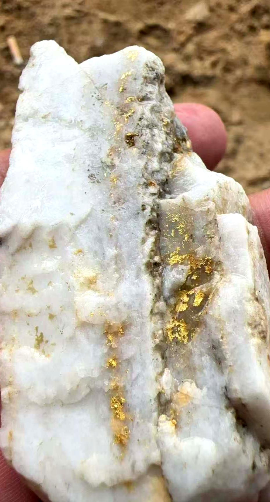 石英脉岩金样本